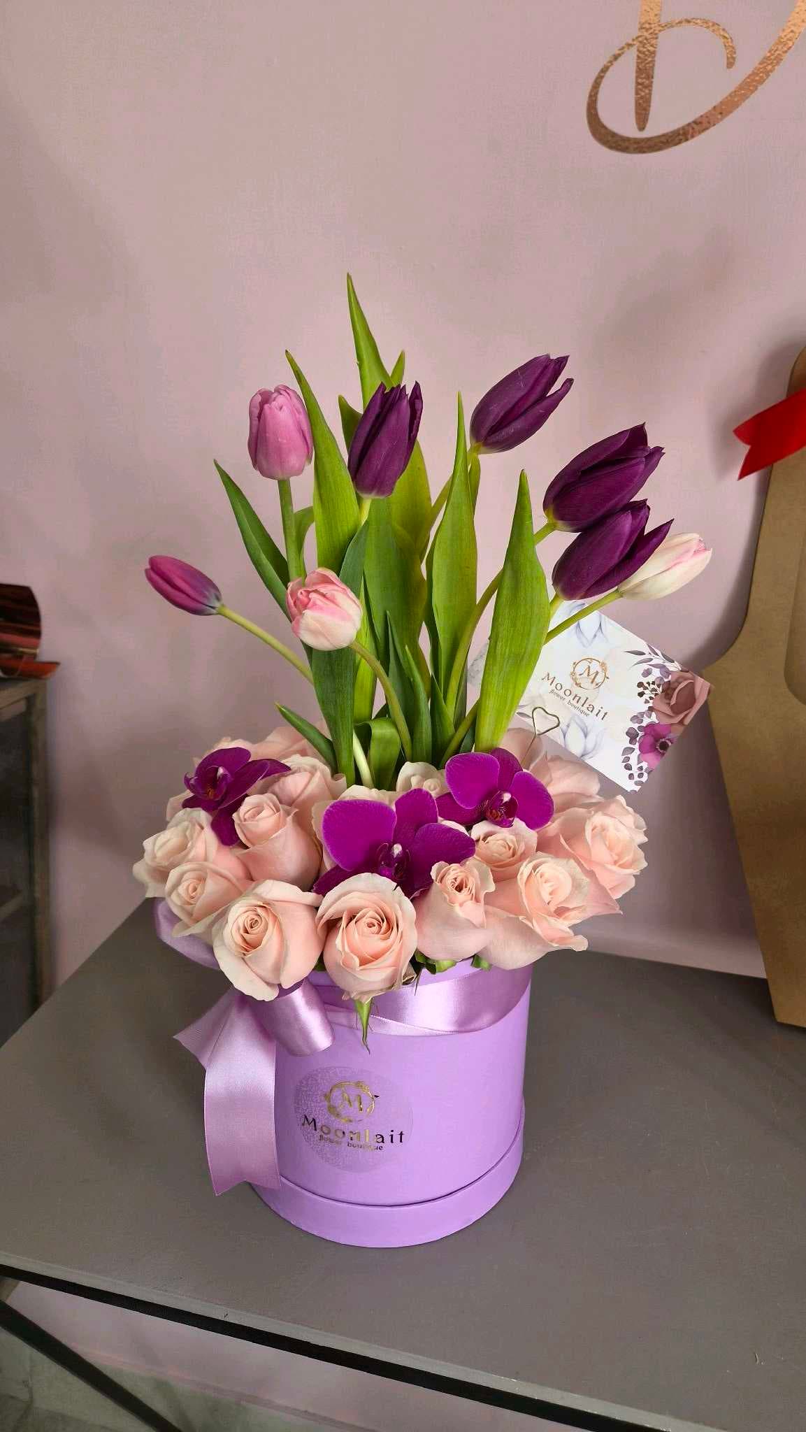Tulip -135