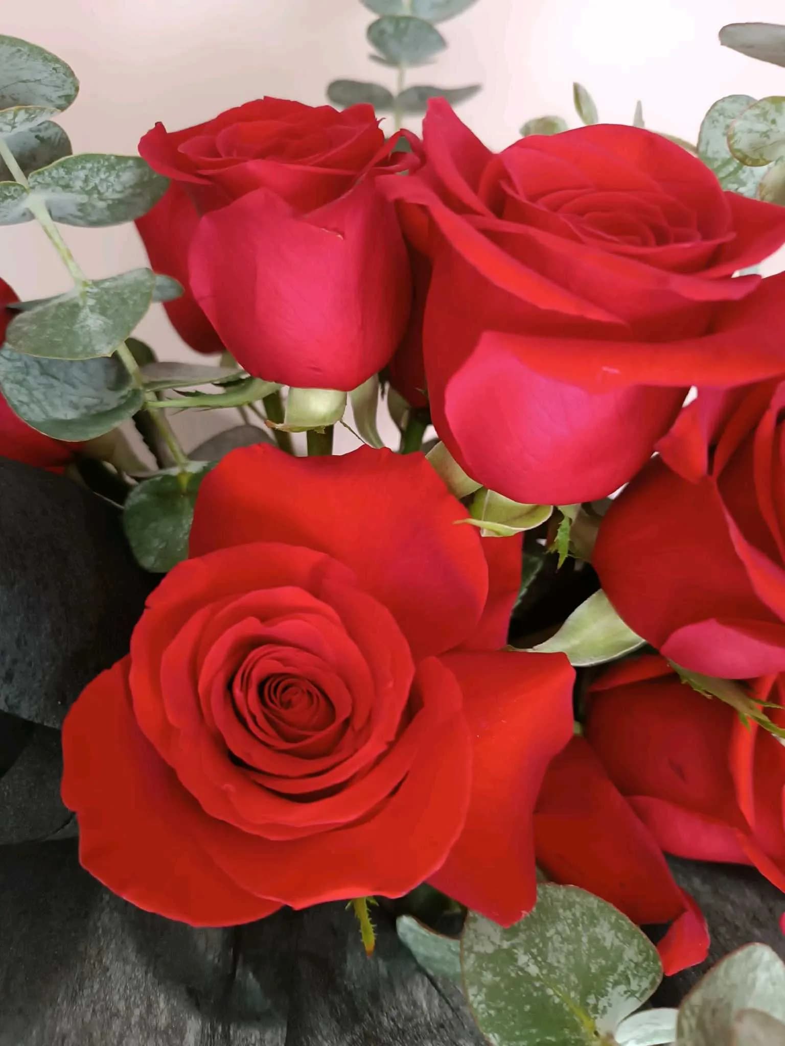 Elegancia Floral
