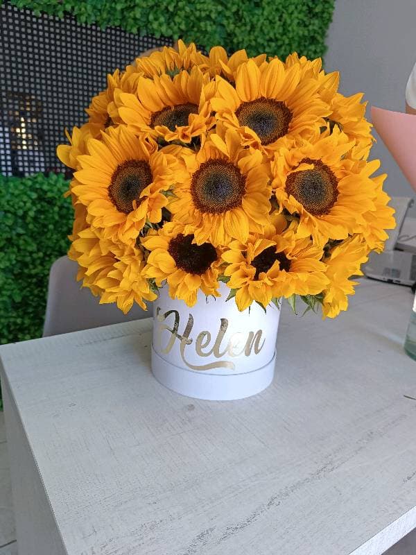 Sunflower Box 30T