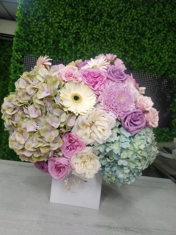 Hortensia