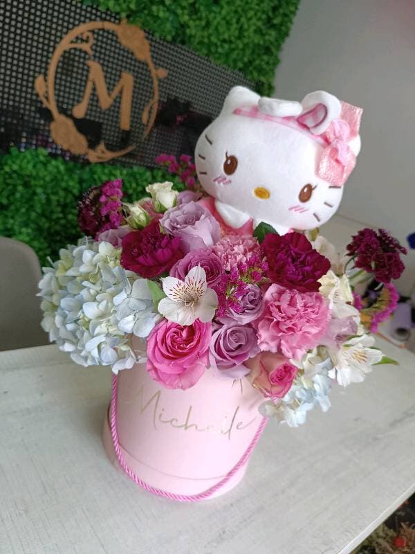 Box hello kitty