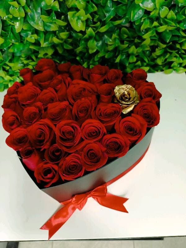Box my Love