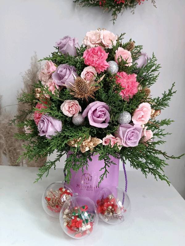 Mini Arbol Ciprés