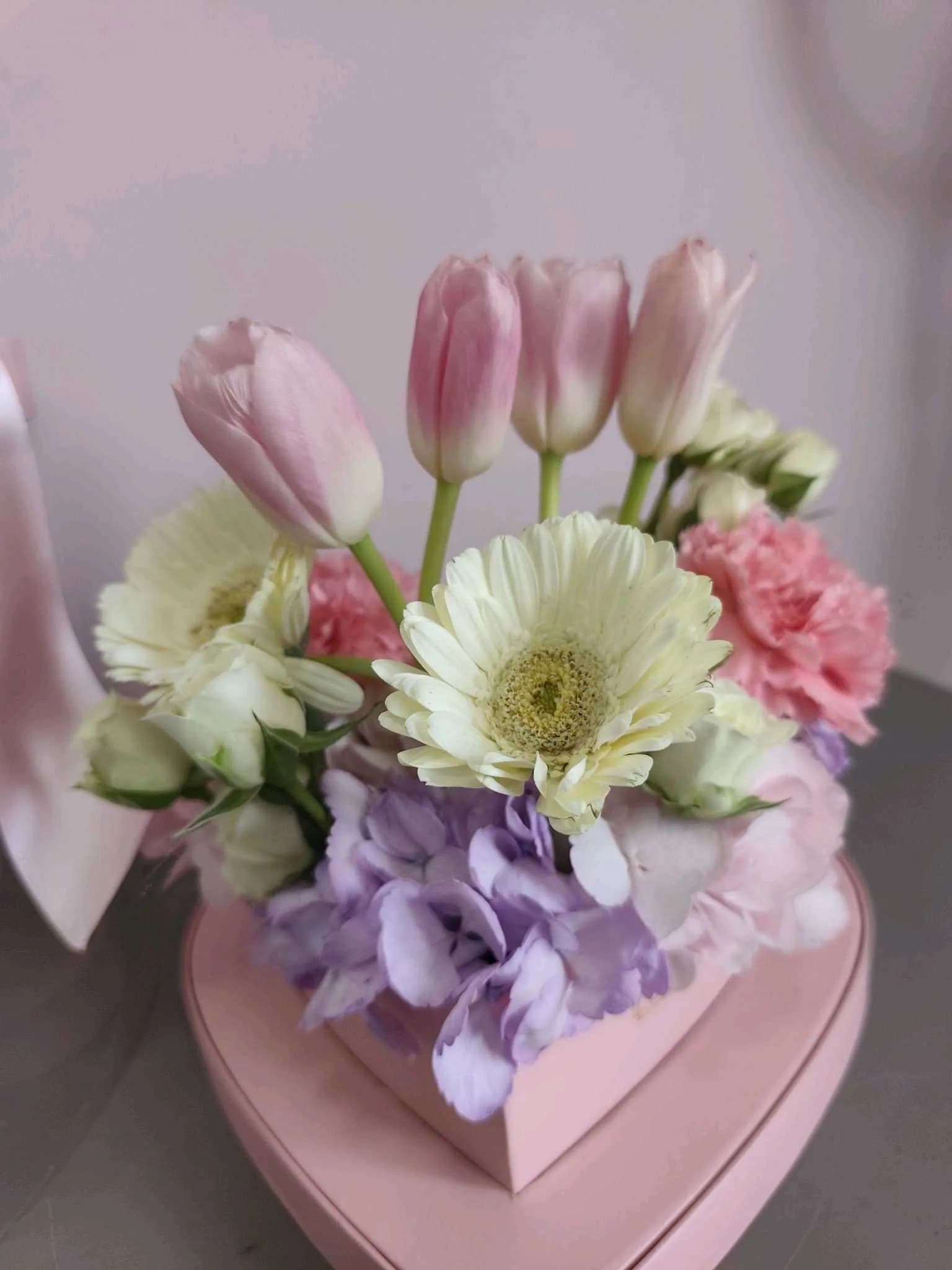 Tulip -104