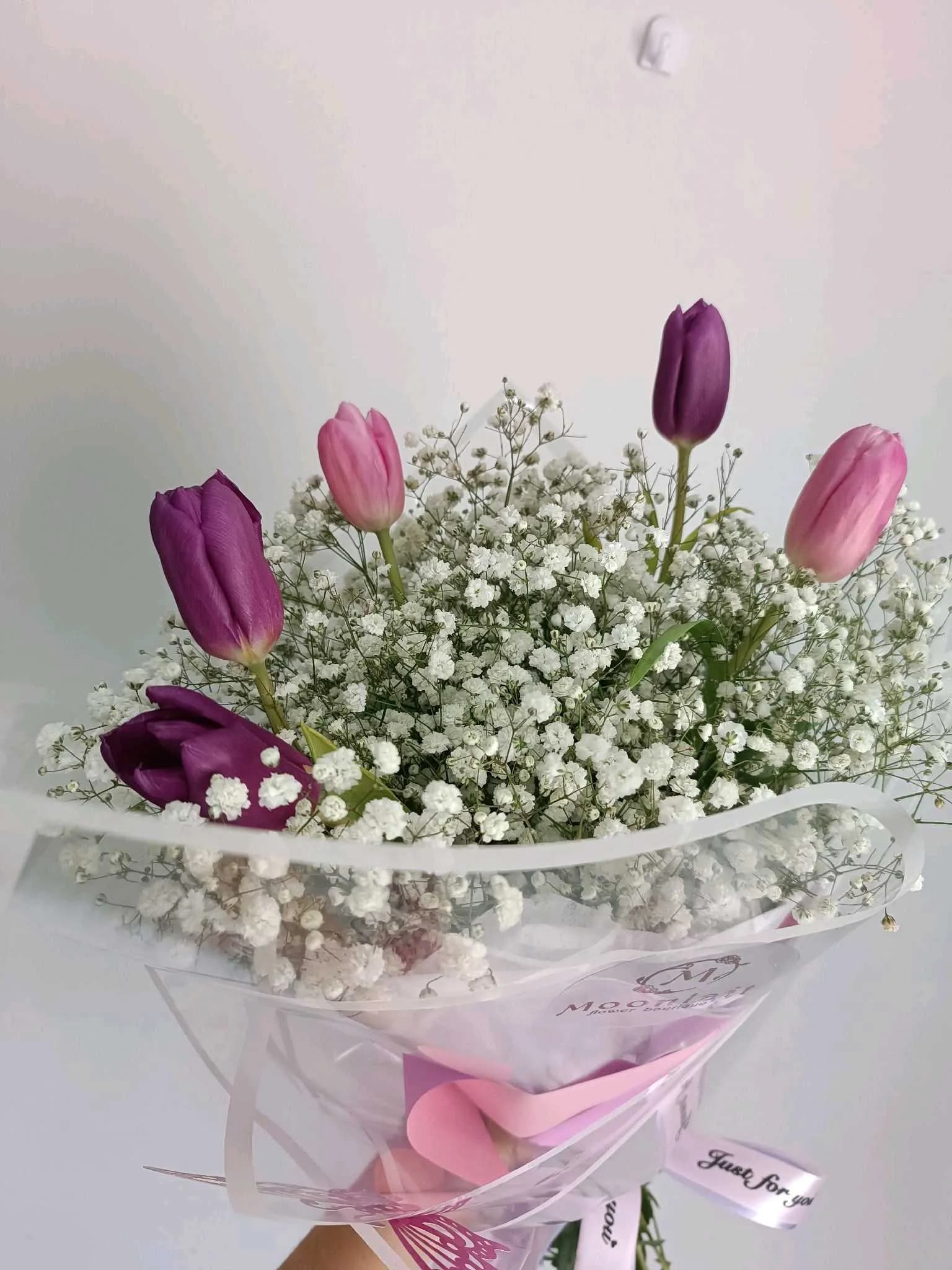 Tulip -119