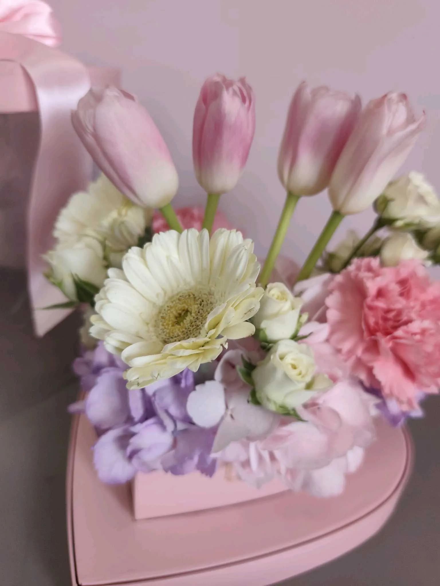 Tulip -104