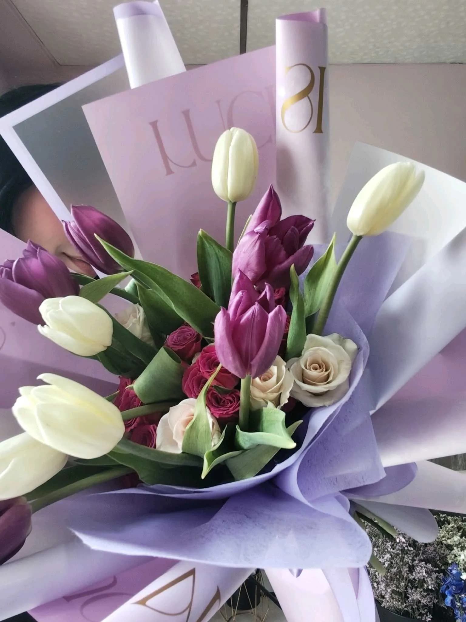 Tulip- 120