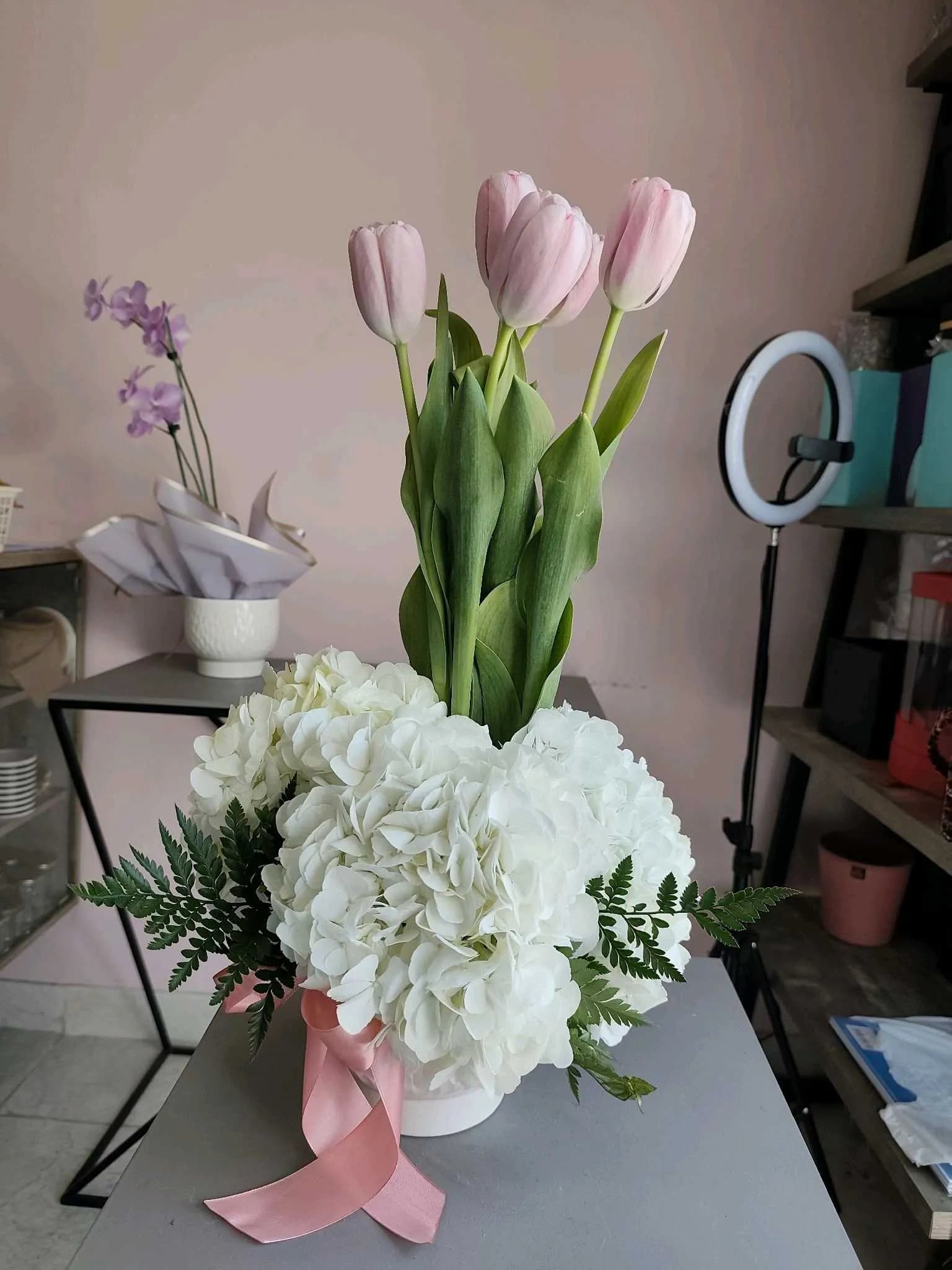 Tulip-102