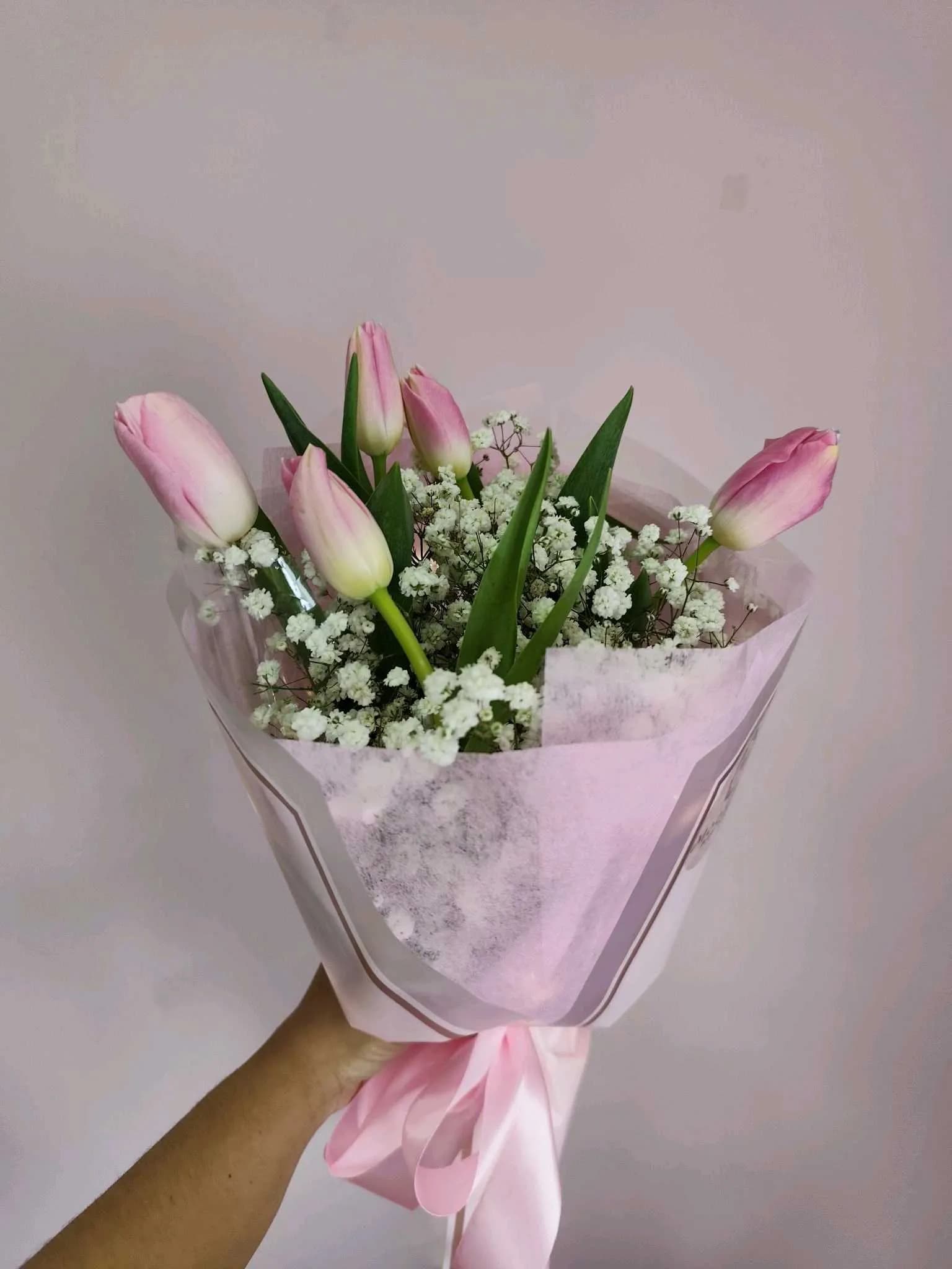Tulip -119