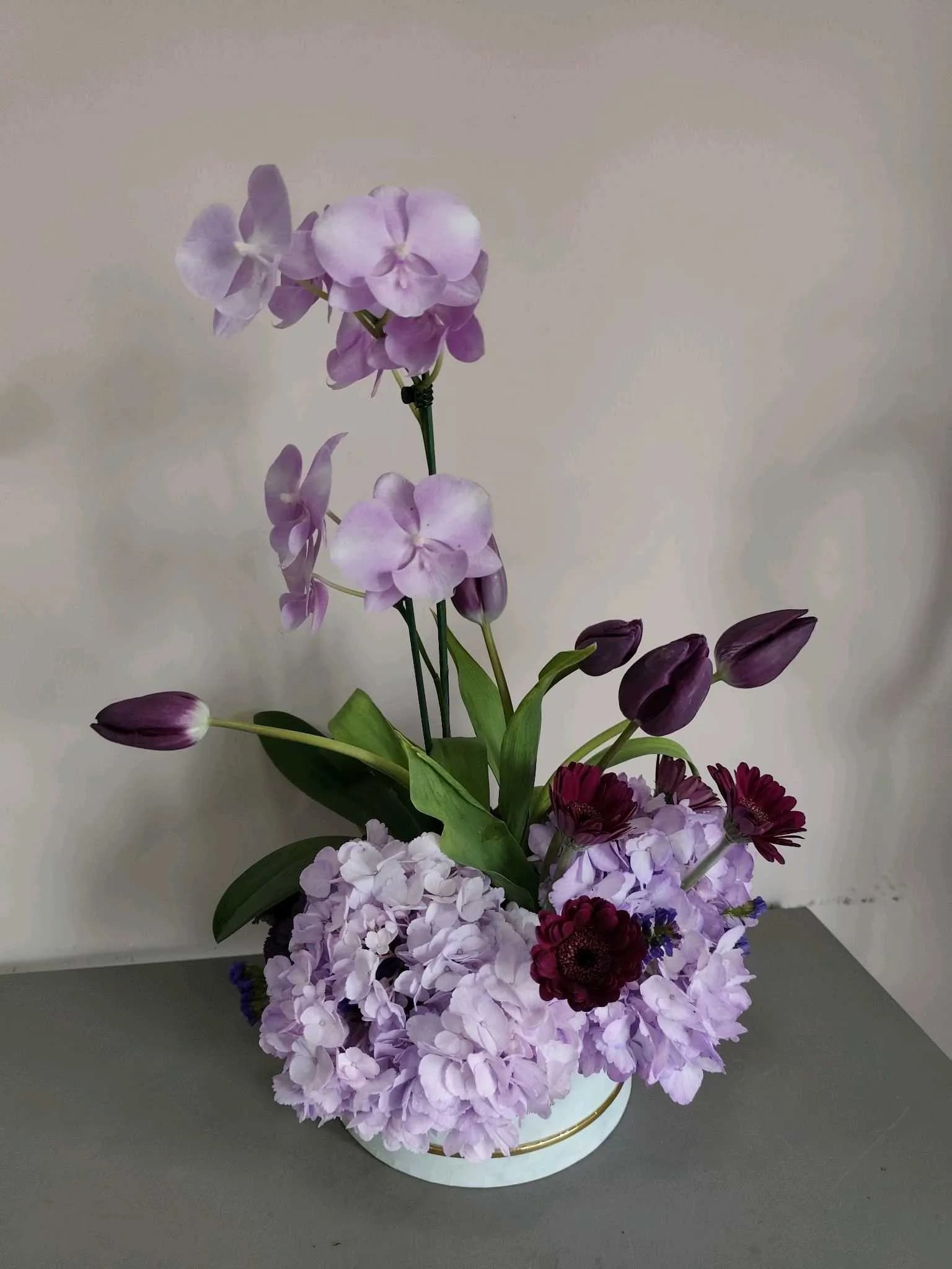 Tulip-101