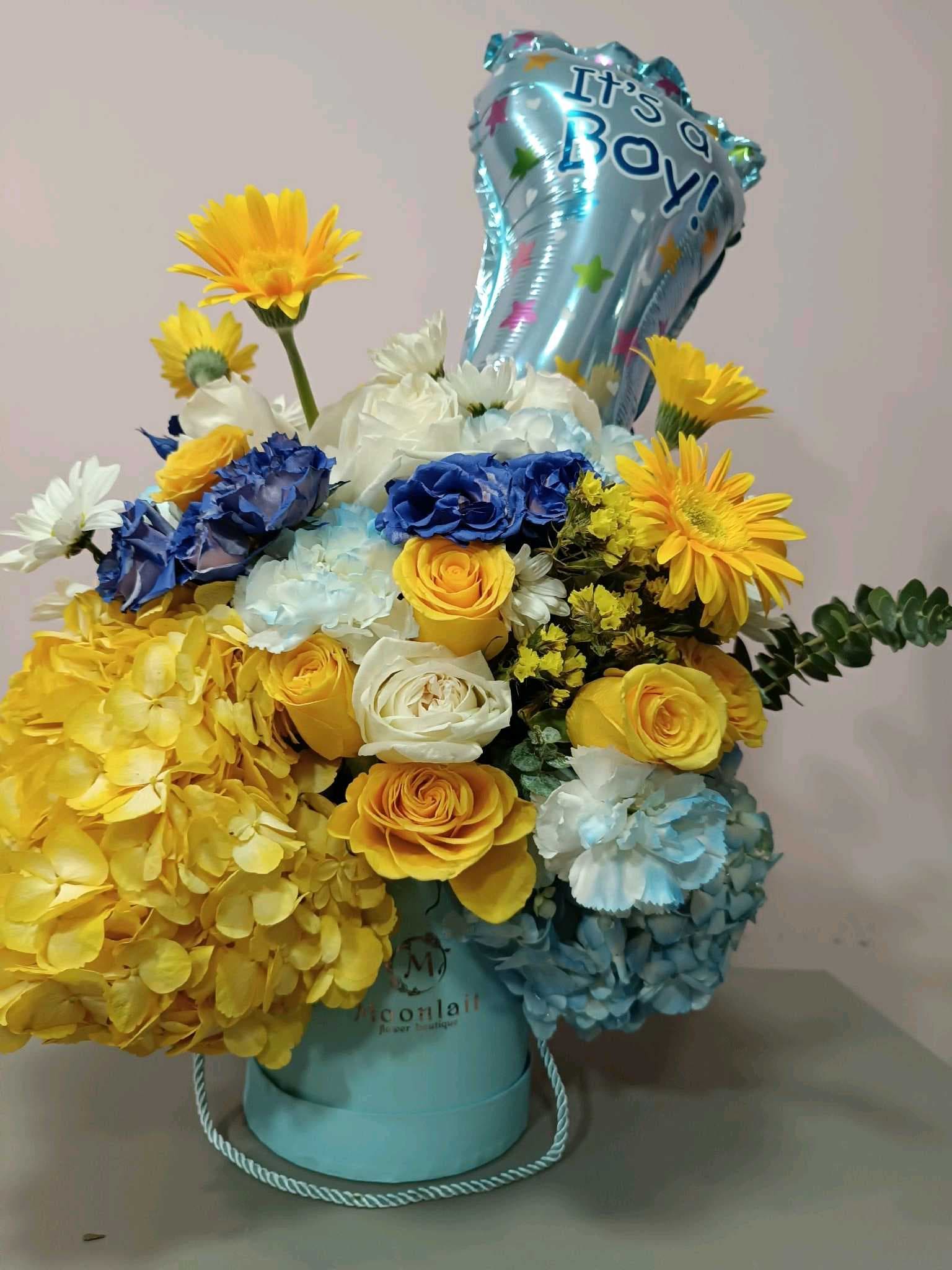 Baby boy 002