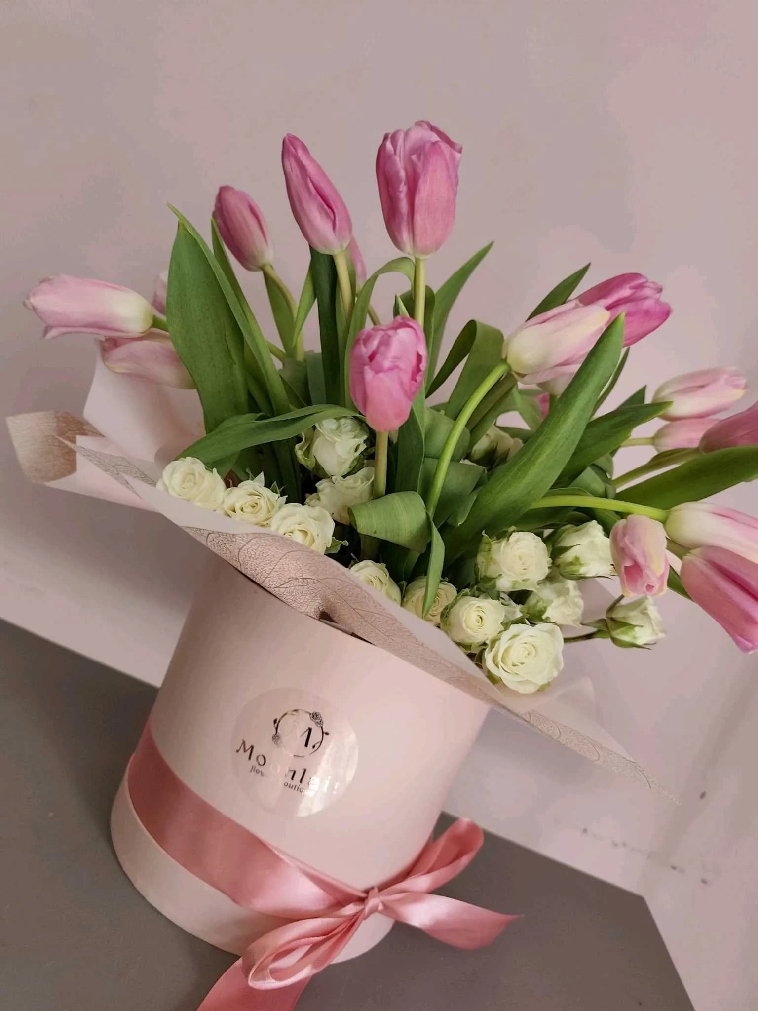 Tulip -113