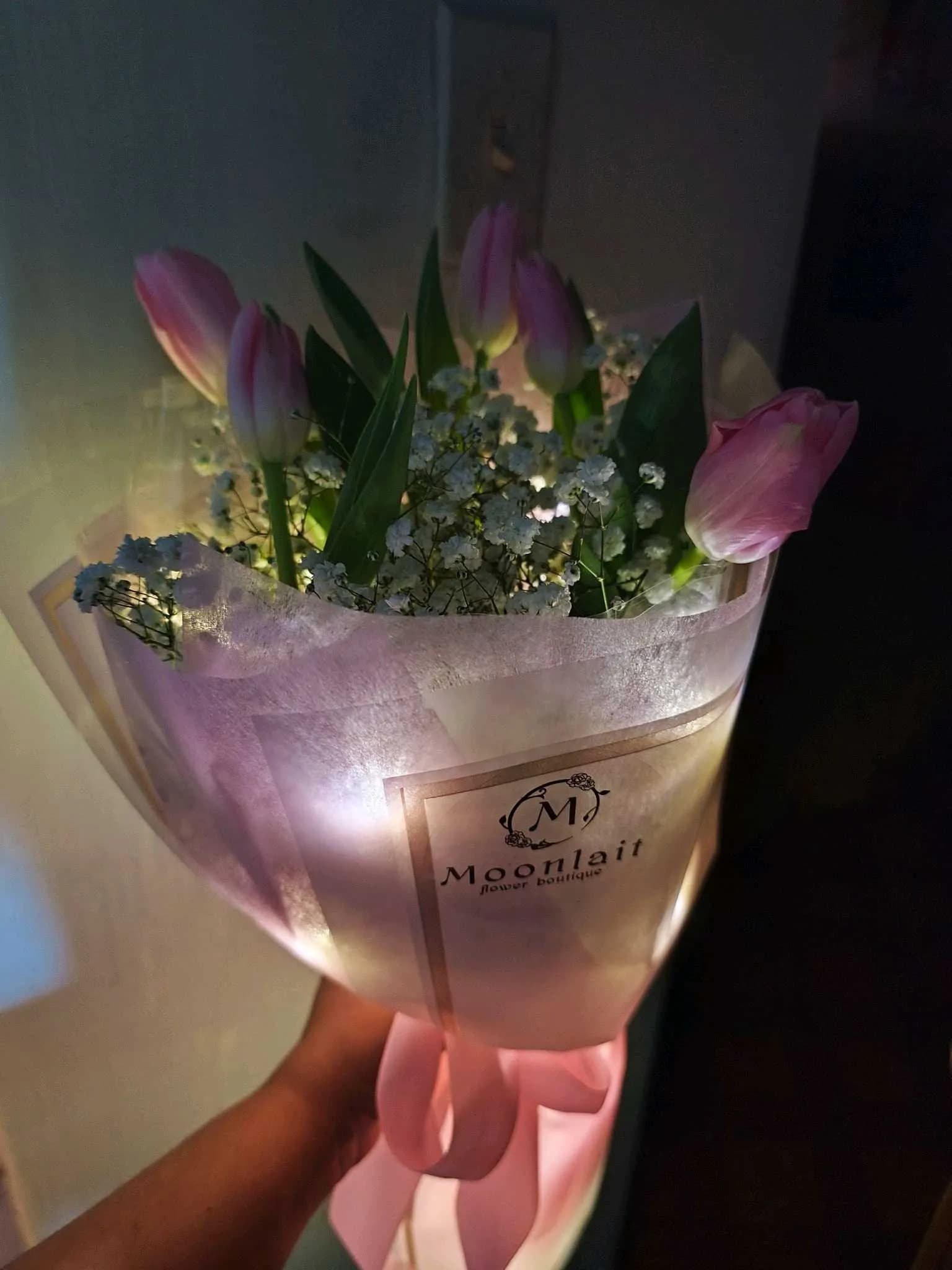 Tulip -119