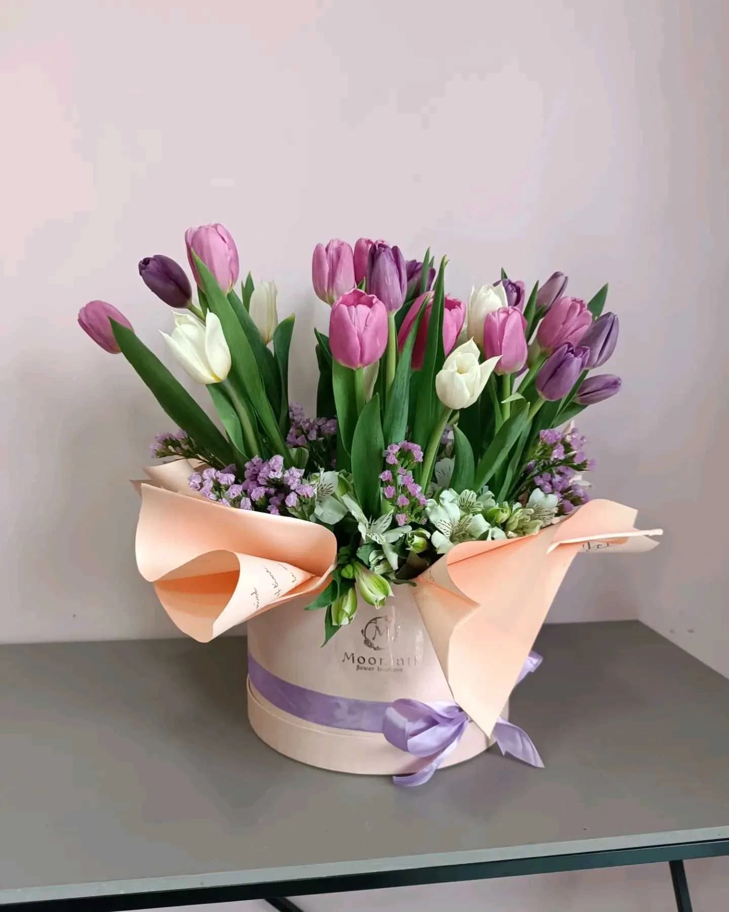 Tulip -115
