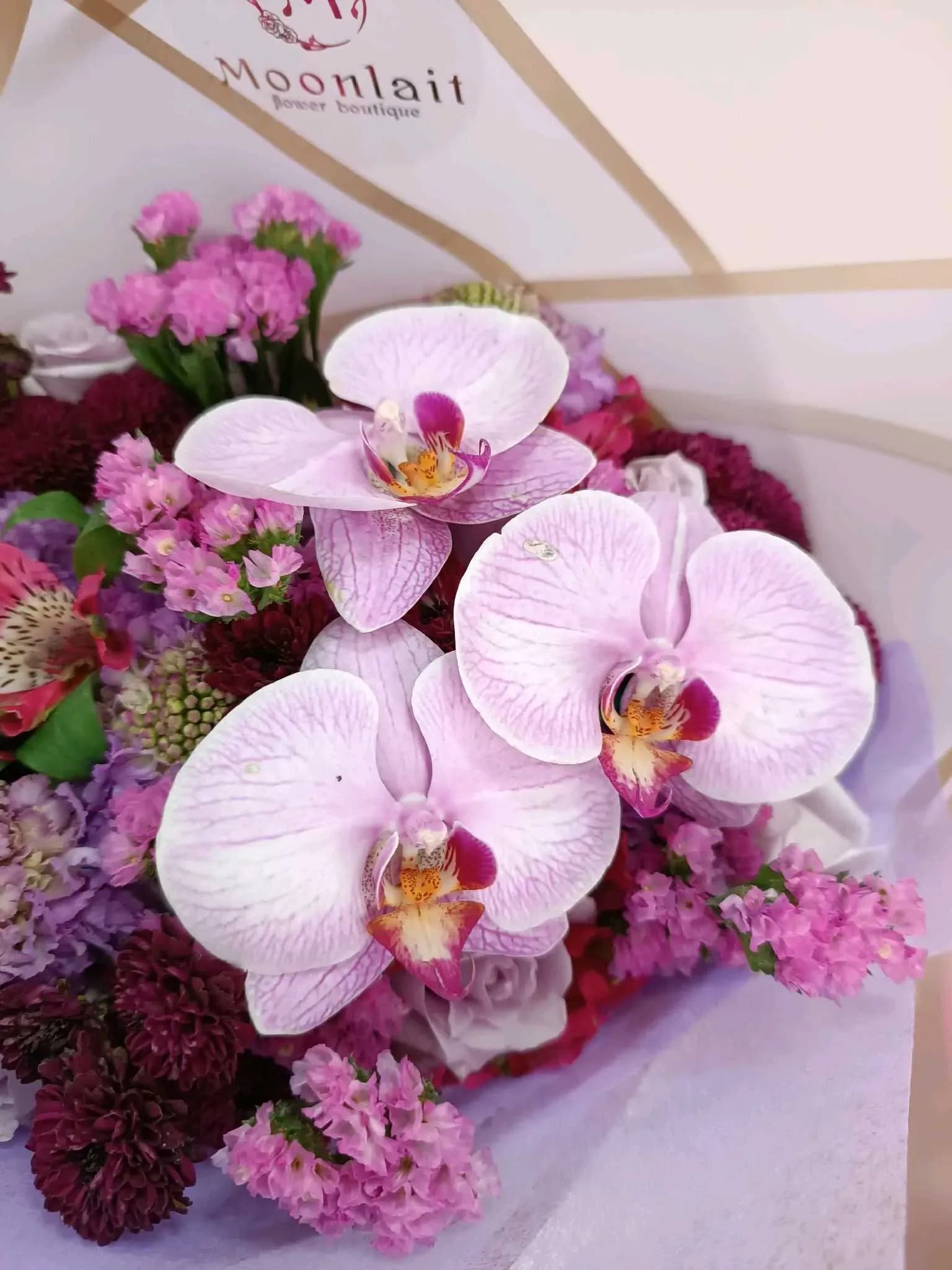 Bouquet Orchid