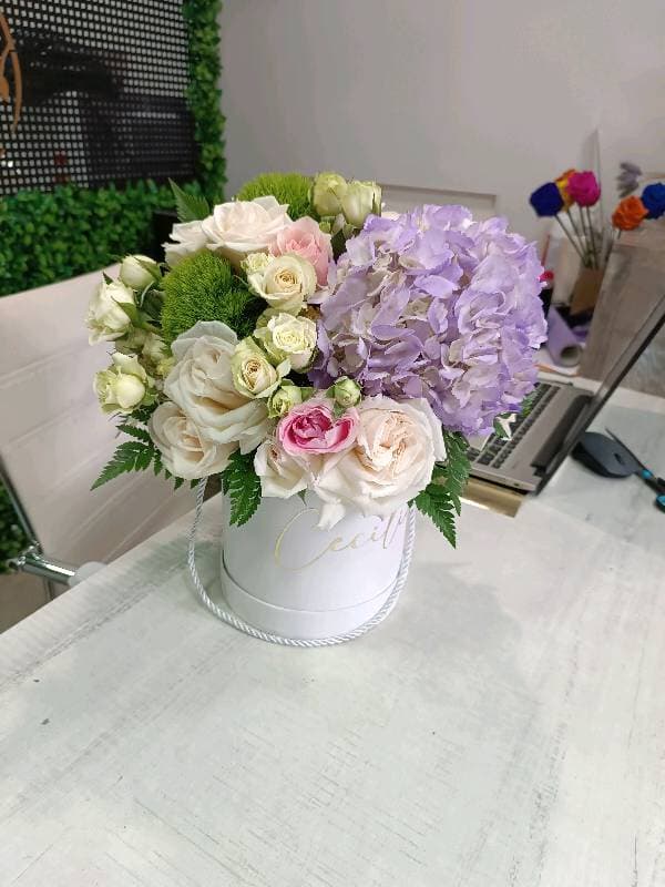 Box hortensia