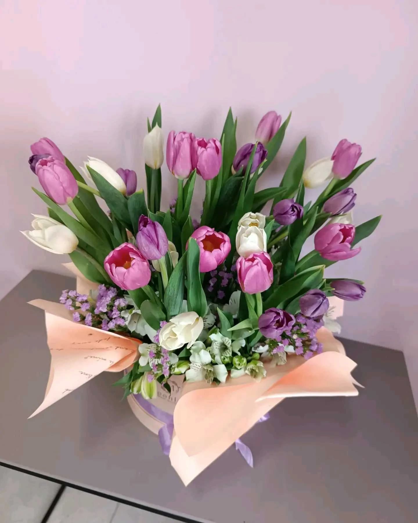 Tulip -115
