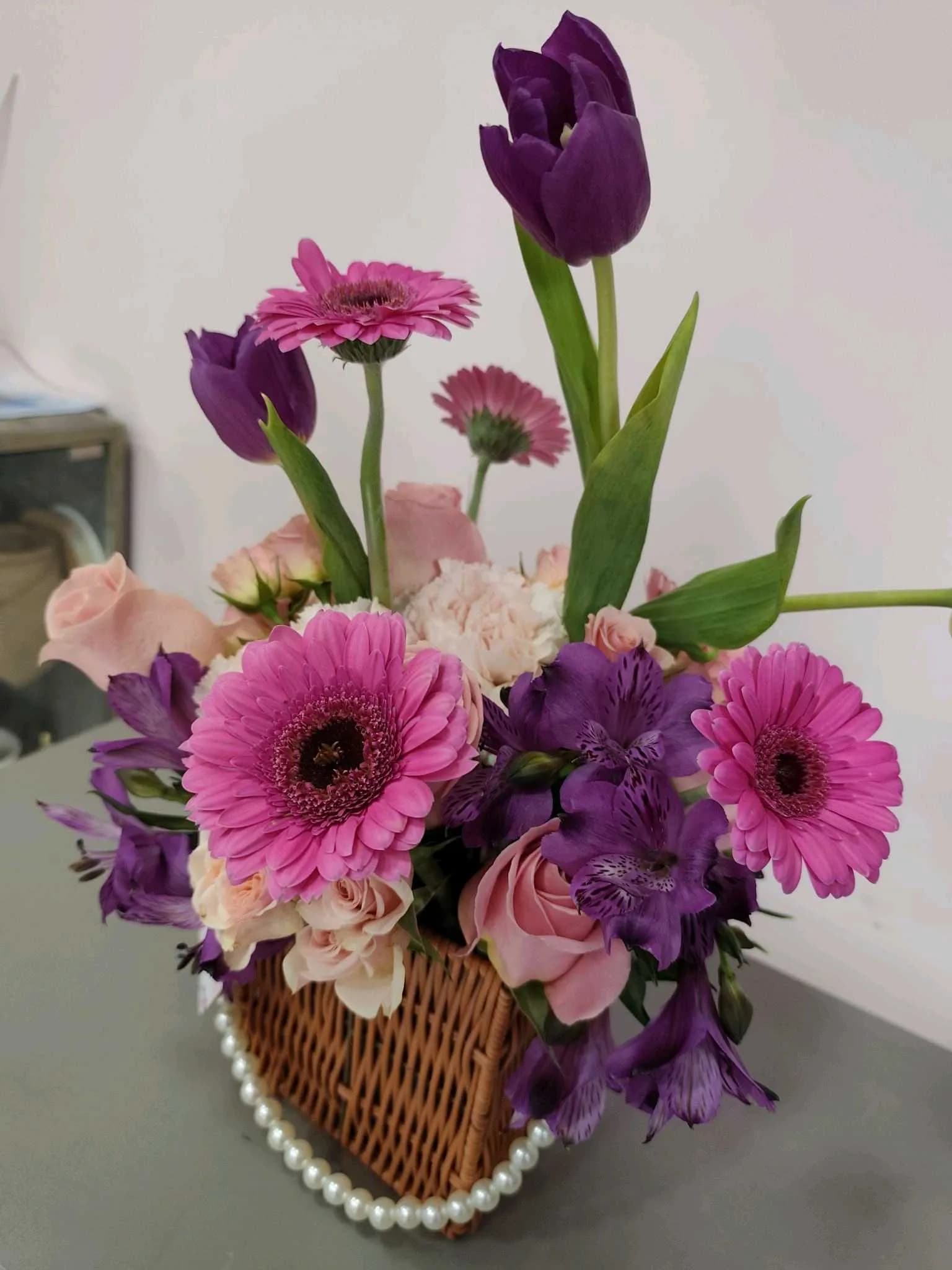 Tulip-103