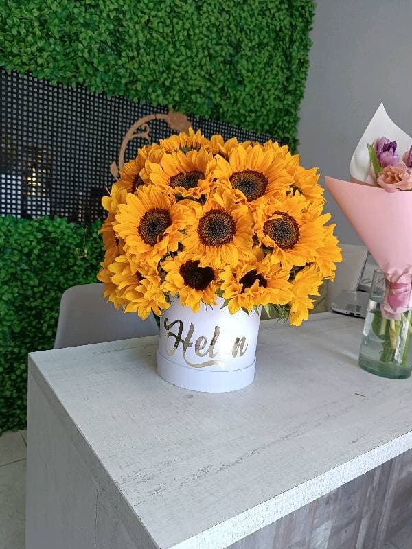 Sunflower Box 30T