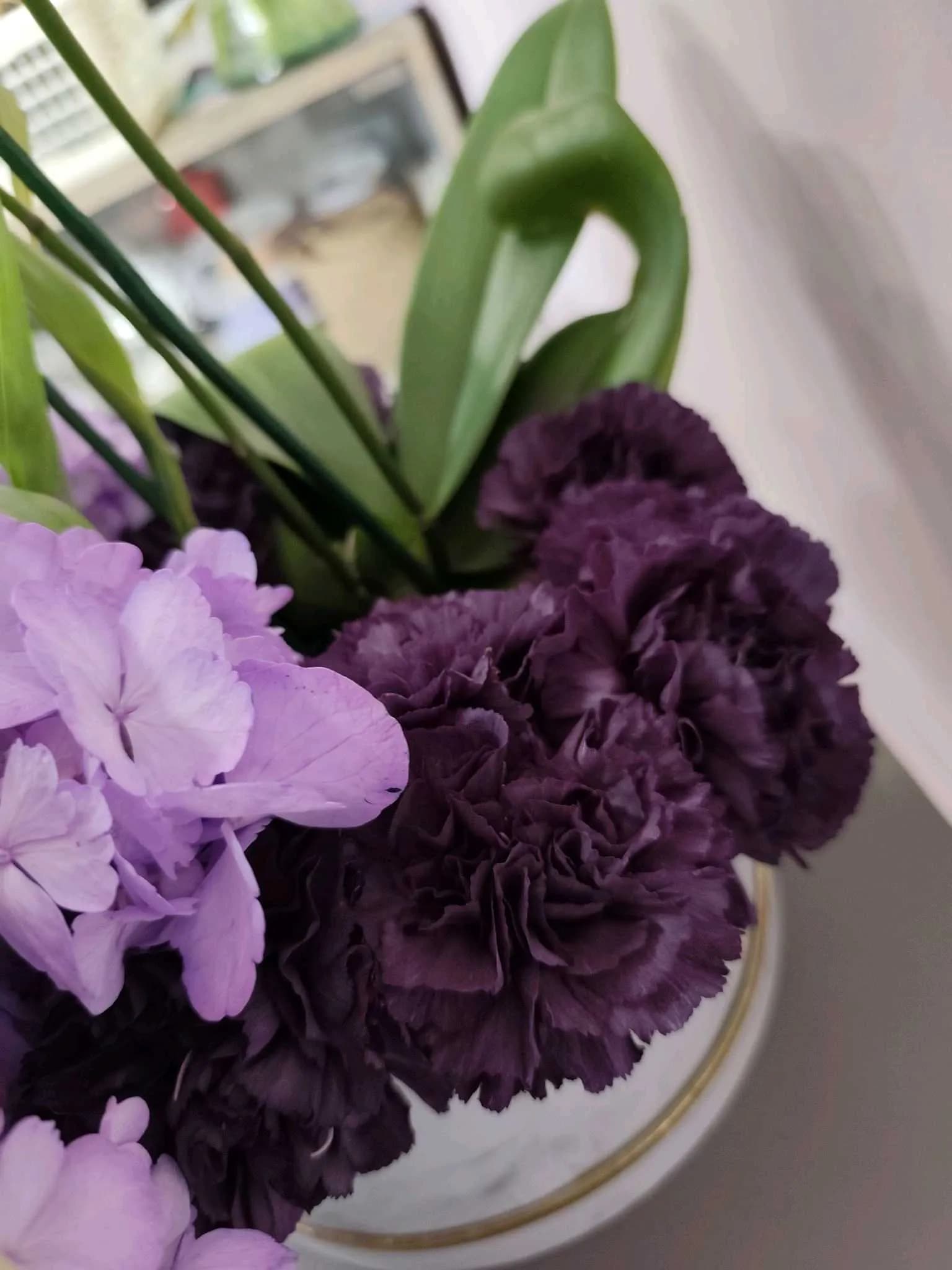 Tulip-101