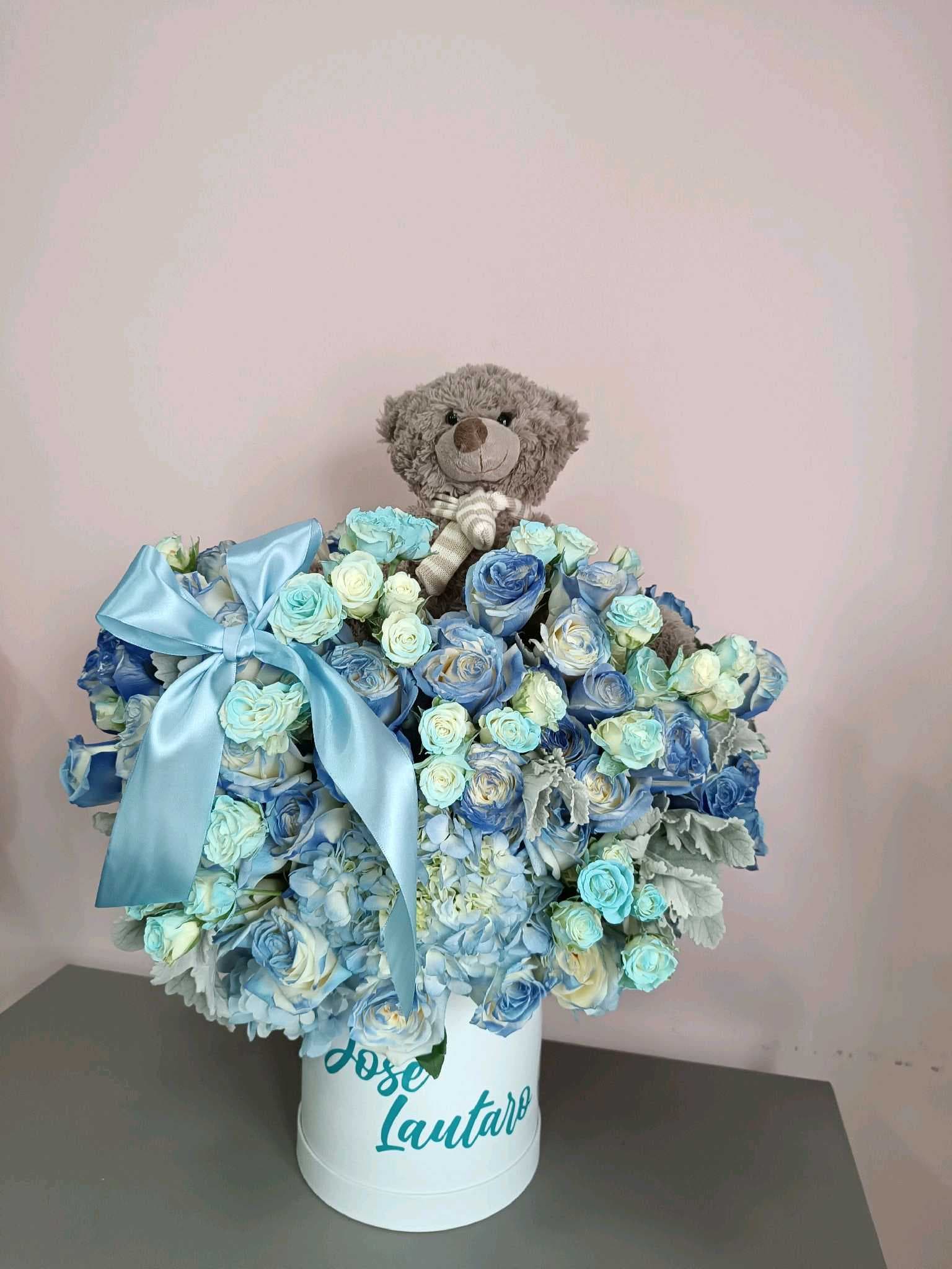 Baby boy 001