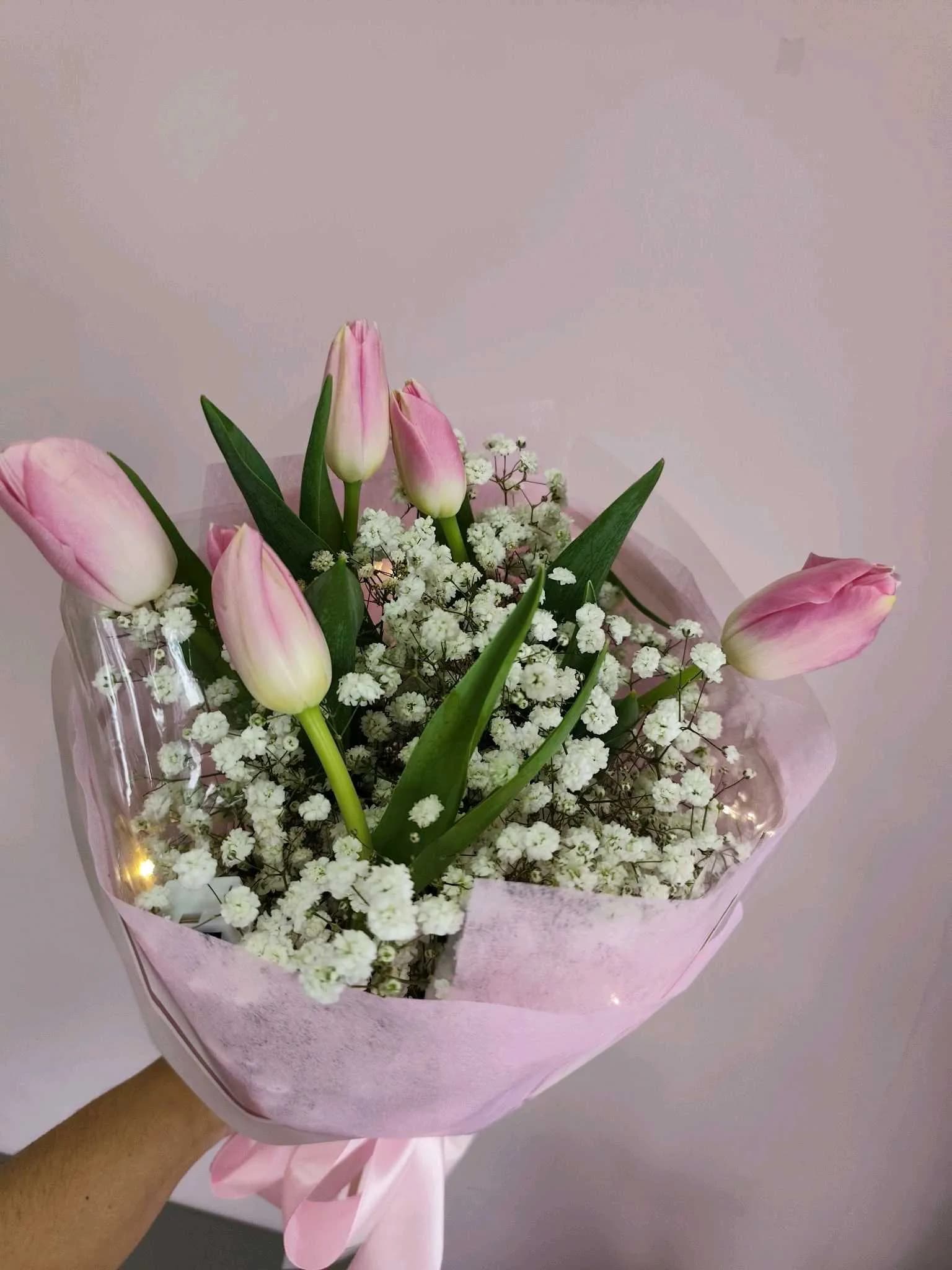 Tulip -119