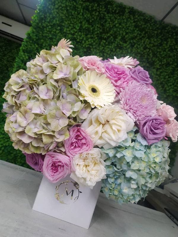Hortensia