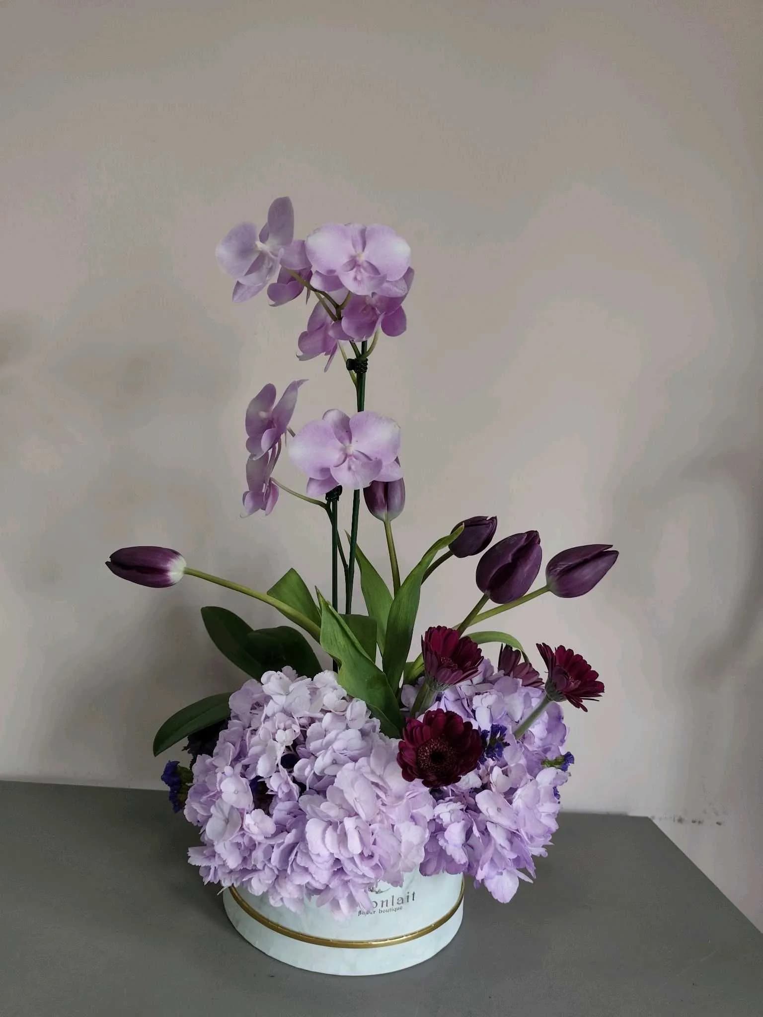 Tulip-101
