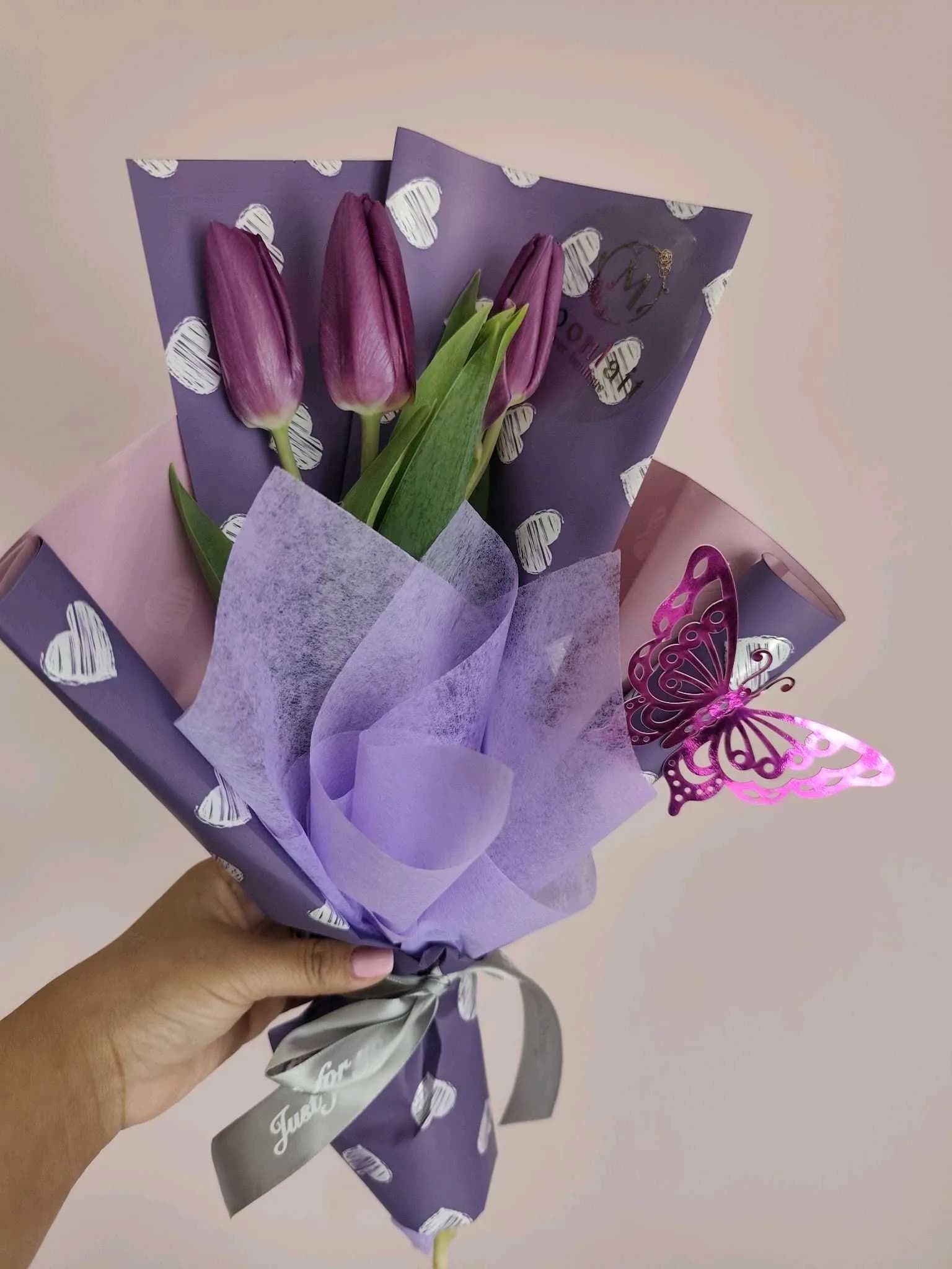 Tulip-129