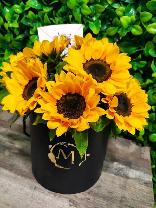 Mini sunflower