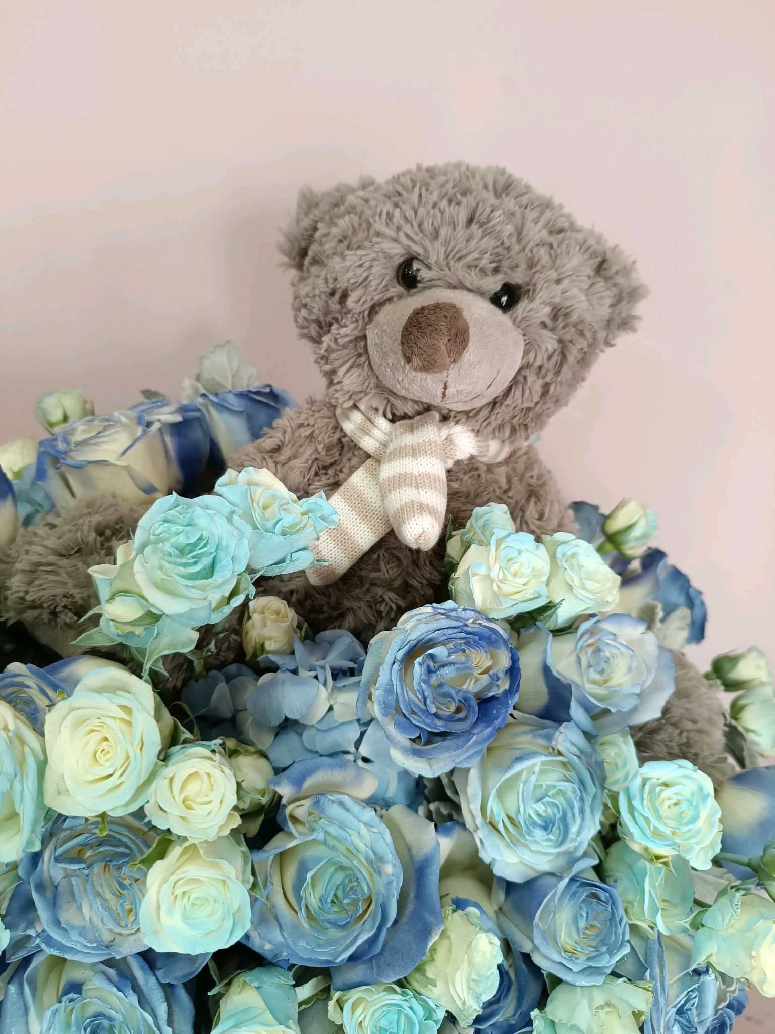 Baby boy 001
