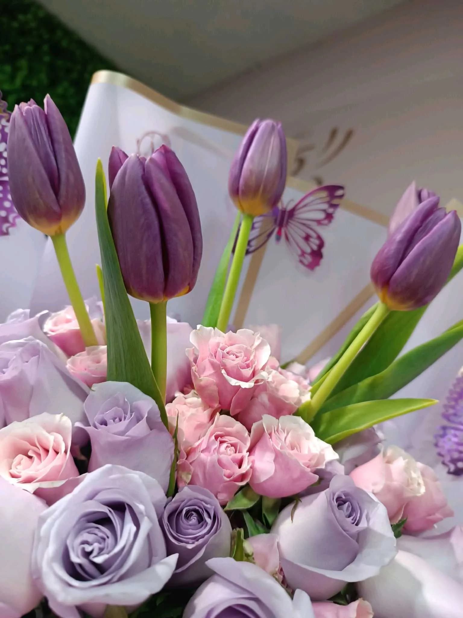 Tulip-122