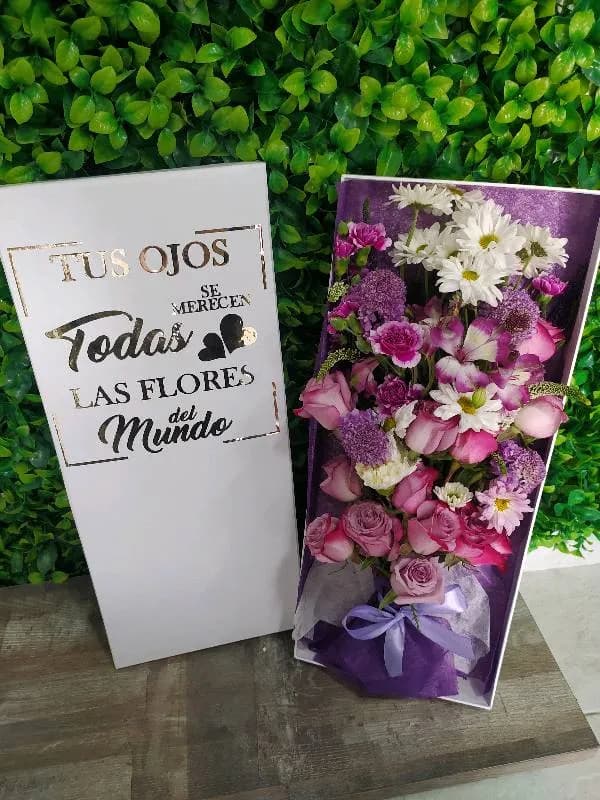 Box Carolina variedades