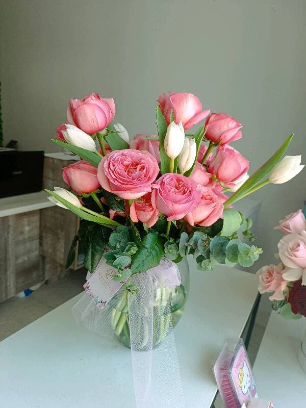 Tulip-126